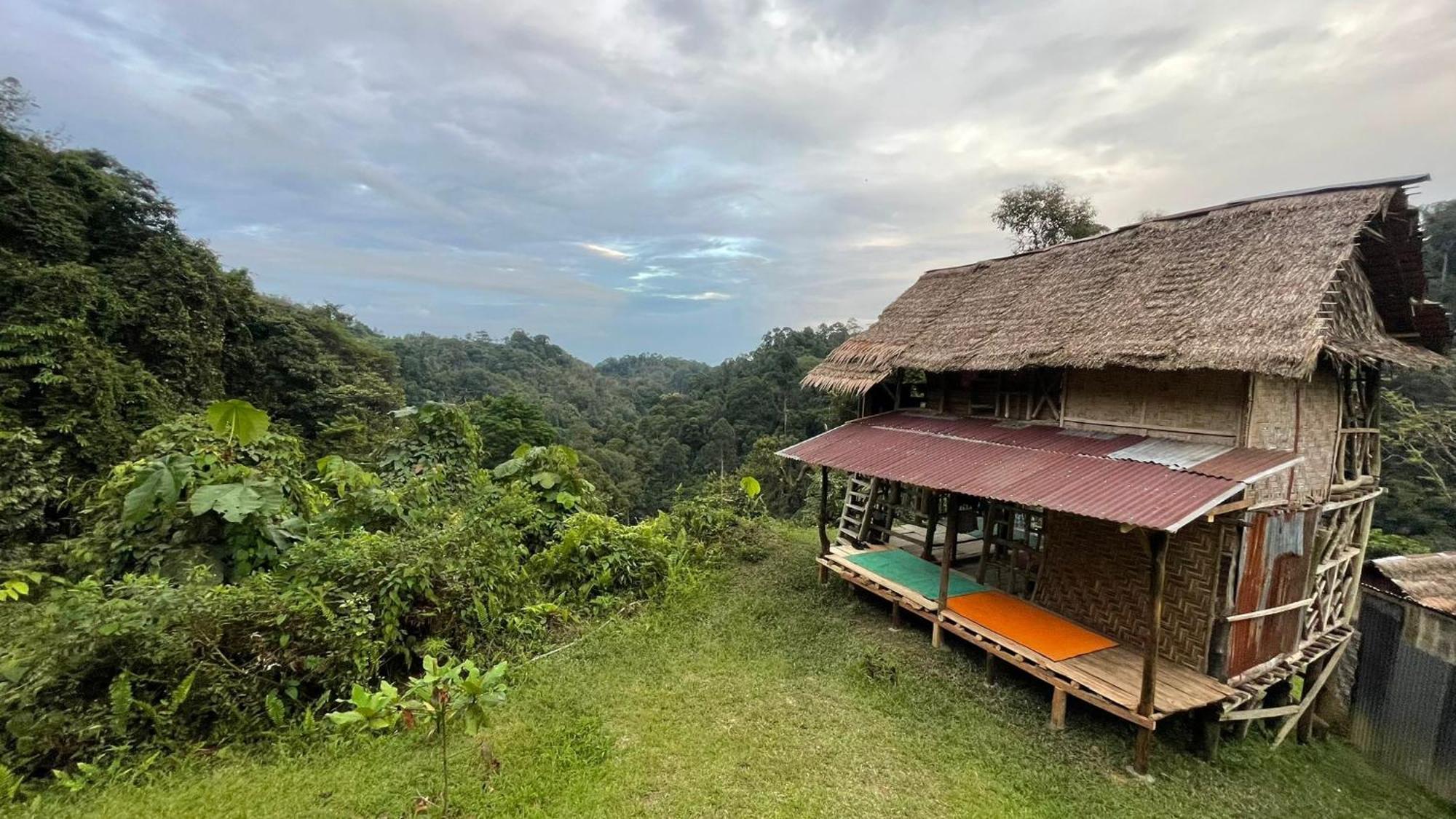 Orangutantreksumatra & Lovely Jungle Lodge Only Book If You Are Treking With Us Bukit Lawang Cameră foto